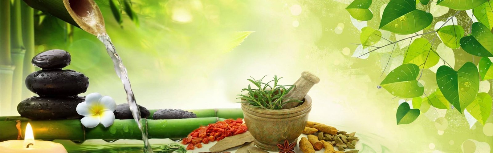 Explore the Bounties of Nature with Tree Extract